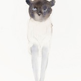 Die Maske … Nr. 8 (1-40) 2013 - Watercolour on paper - 40 x 30 cm
